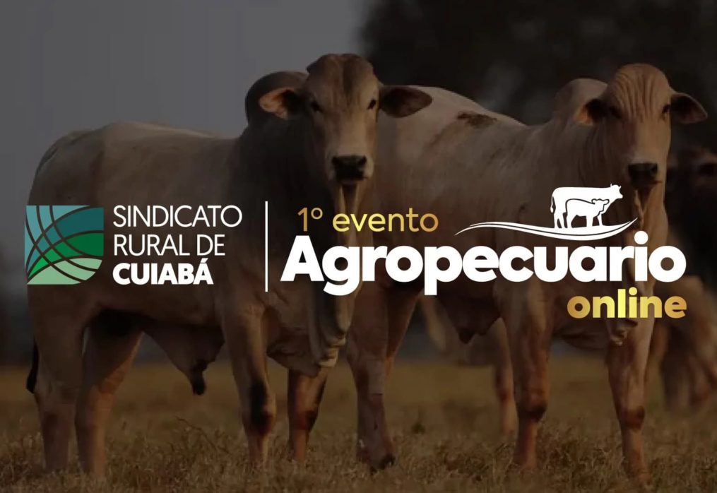 Sindicato Rural de Cuiabá realiza 1º evento Agropecuário online