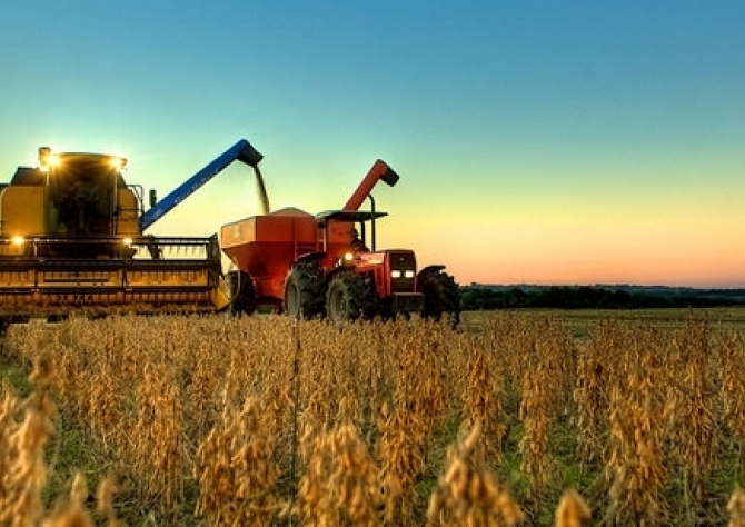 USDA deve elevar projeções de área para soja e milho nos EUA
